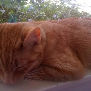 Meet your Posher, Jan